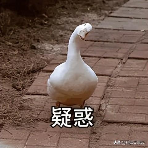 苹果是个好东西（吃水果的一些常识和注意点）