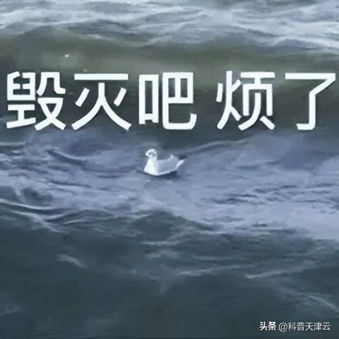 苹果是个好东西（吃水果的一些常识和注意点）