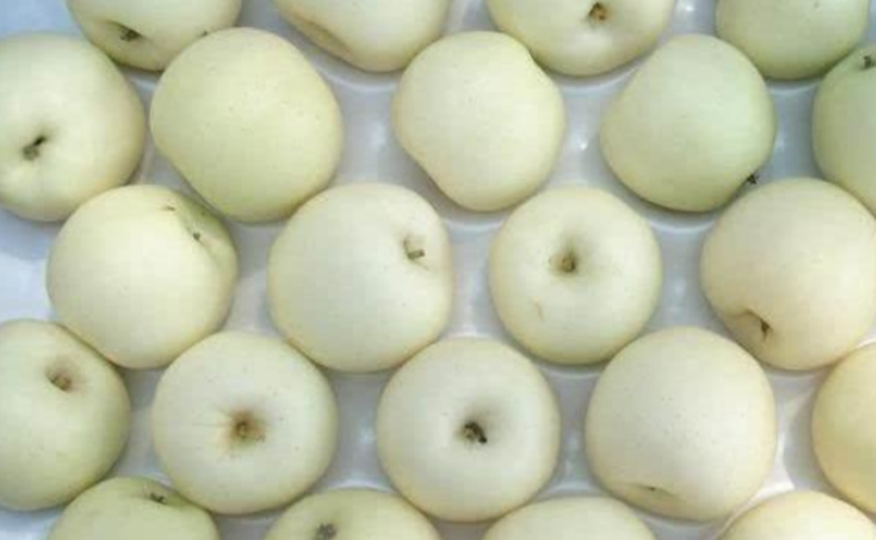 白色水果的功效与作用图片及功效（四种罕见的白色水果你吃过没？）