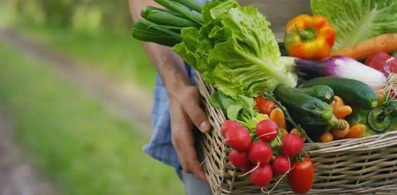 彩虹颜色的美食（“彩虹色”蔬果的秘密你还不知道？）