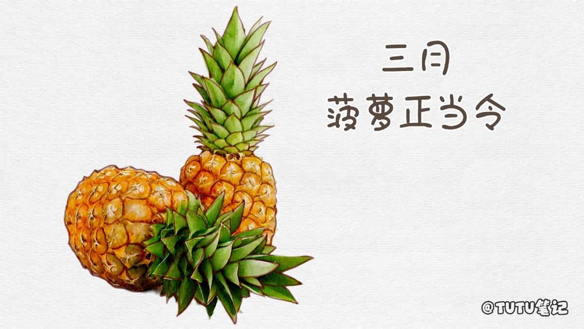 各种水果的最佳食用时间（各种水果的应季食用时间）