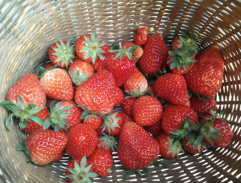 一年四季,水果蔬菜自然成熟的时间表,一定要吃应季的