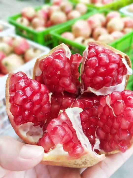 一年四季,水果蔬菜自然成熟的时间表,一定要吃应季的