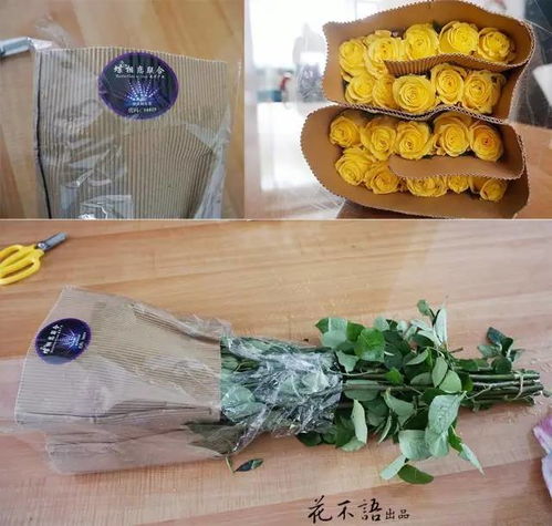 养玫瑰花用什么工具,打造美丽花园的秘密武器