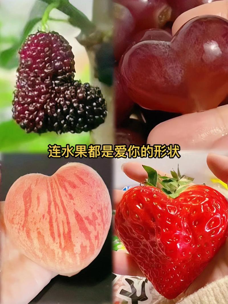 水果网制作爱心怎么做教程,挑选水果，开启甜蜜之旅
