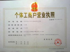 水果店营业执照怎么办理,流程、费用及注意事项