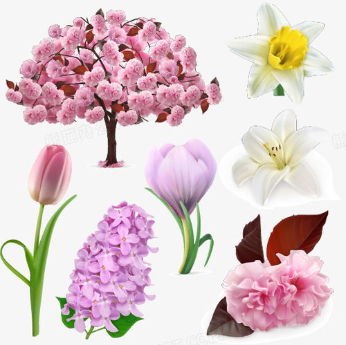 康乃馨用什么颜色灯好,点亮花语情感