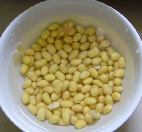 黄豆养花怎么用,天然肥料巧用指南