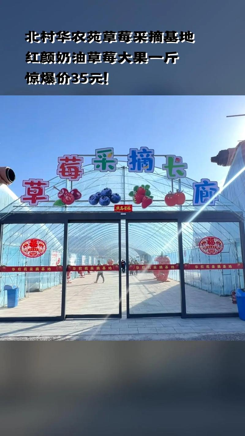湖北蕲春网红水果店有哪些,湖北光霞果品批发大市场