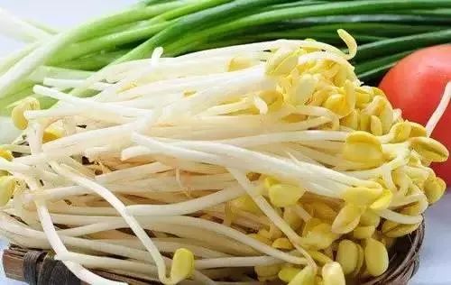 黄豆芽怎么种,从选种到收获的详细步骤