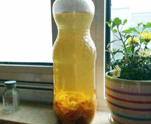 桔子泡水浇花有什么效果,神奇植物滋养秘方大揭秘”