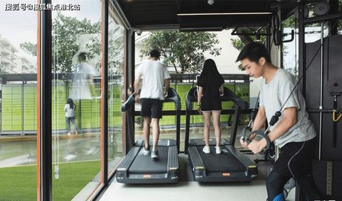 斯源吴卖三角梅的地方电话,阳光是三角梅的“小太阳”
