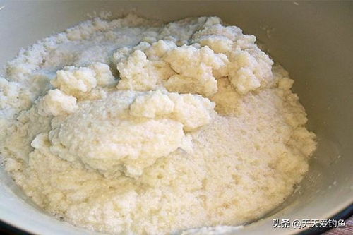 豆渣不发酵怎么浇花,简单实用的环保园艺技巧