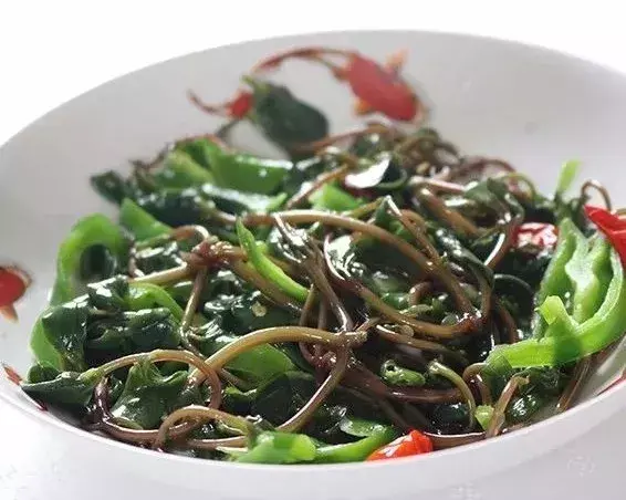 清火降火的蔬菜排名(5种蔬果“清热降火”)