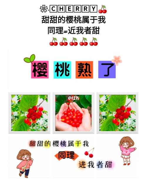 宅家吃水果自拍文案怎么写, 色彩斑斓,打造视觉盛宴