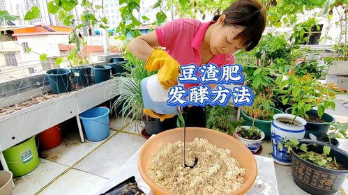 豆渣肥发酵 多久不臭,告别臭味,实现环保与肥效双赢