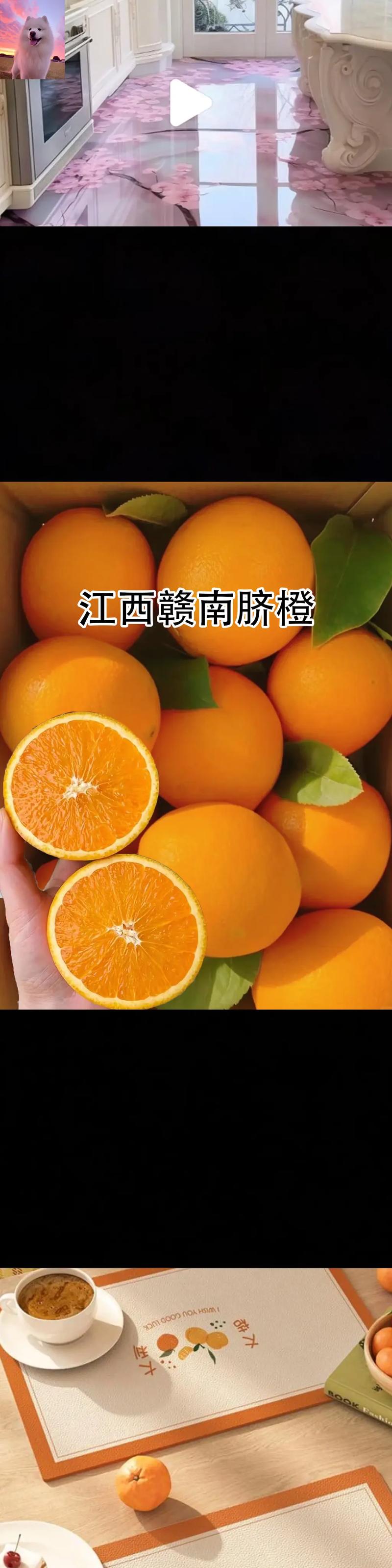 中国脐橙的种植历史有多久,历史的回声