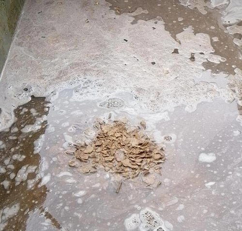 如何沤制液肥,简单步骤打造高效肥料