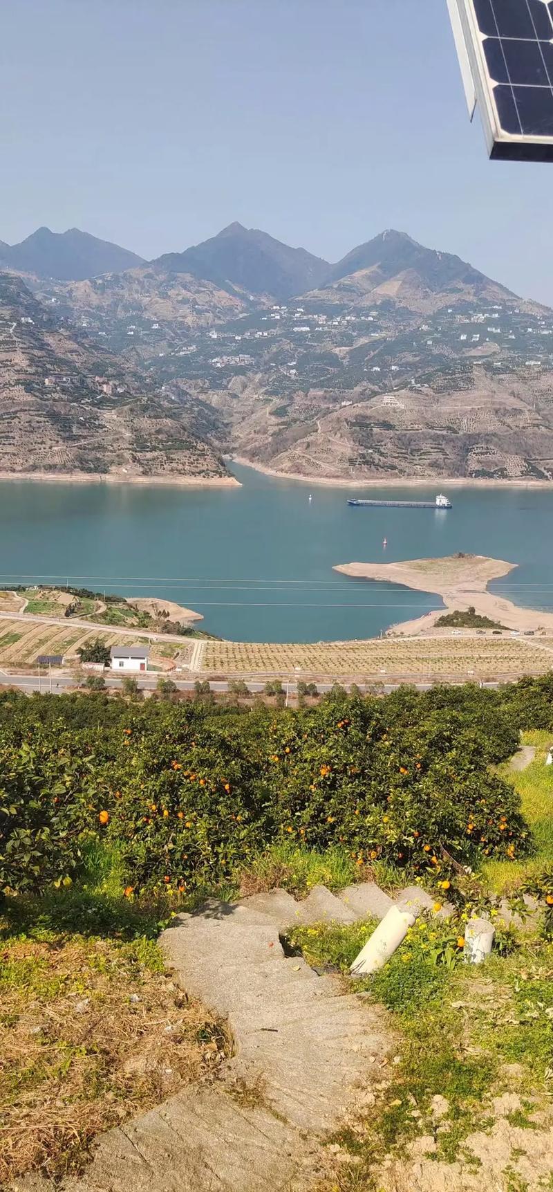 奉节脐橙风景园地址在哪里,风景园地址揭秘
