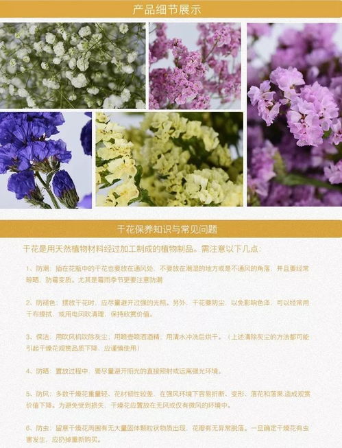 康乃馨有什么古诗成语吗,康乃馨与古诗成语的交融之美