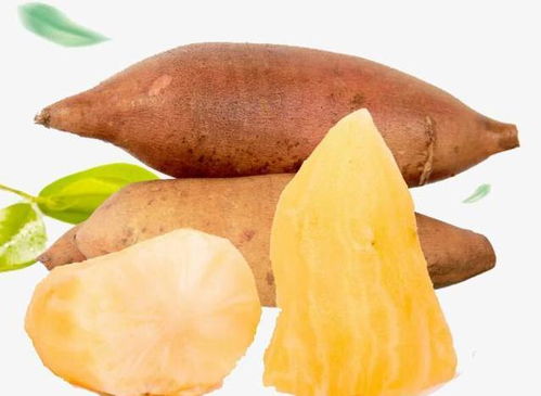 天山雪莲果怎么储藏,科学储藏指南