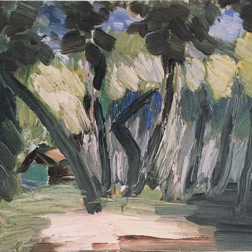 无尽夏开花后如何修剪,无尽夏开花后修剪技巧解析