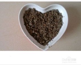 盆栽绣球花焉了怎么办,盆栽绣球花焉了怎么办?