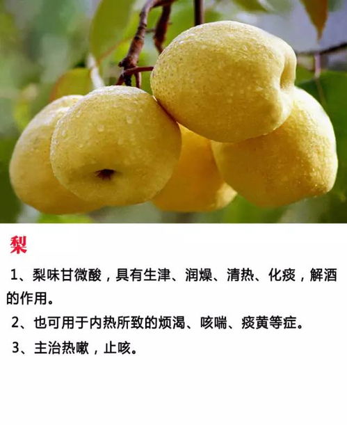 水果生病要用什么药消毒,水果生病了，是消毒水还是农药救急