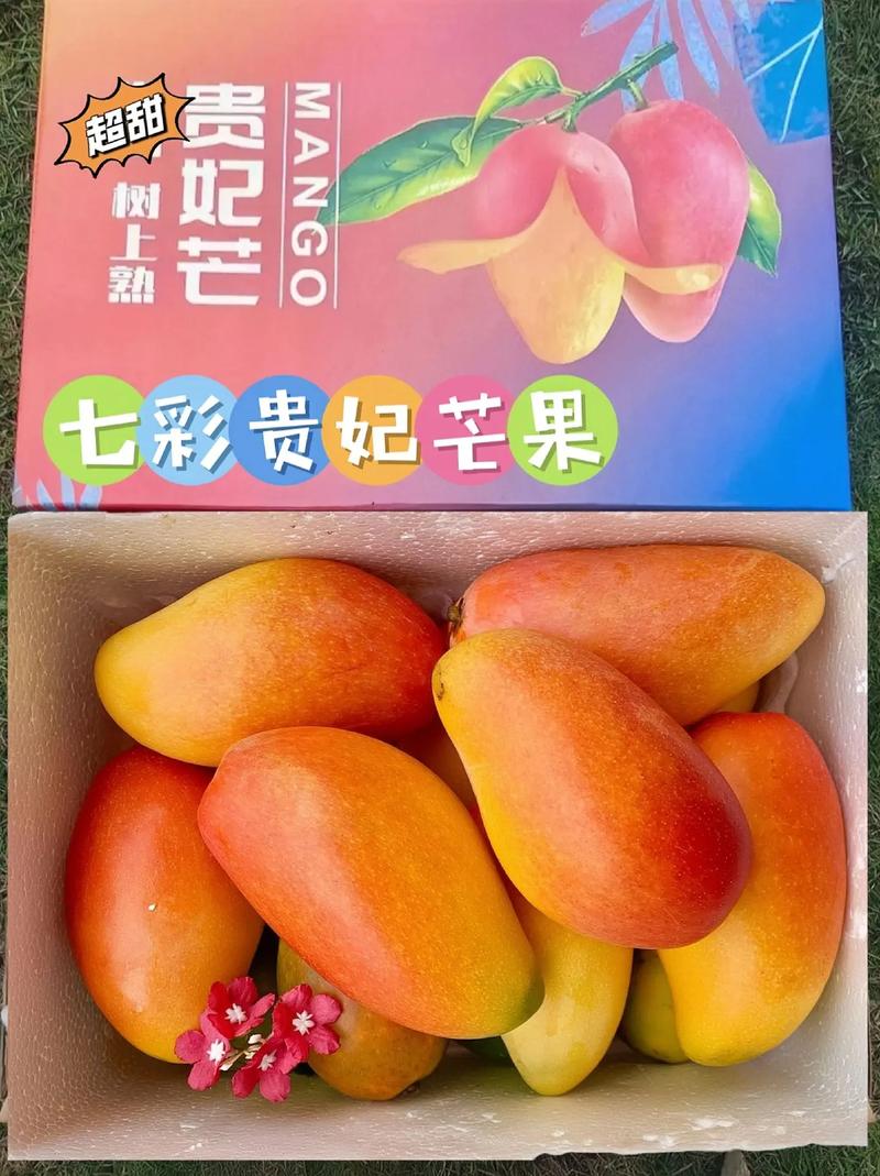 中牟水果档口销售电话号码