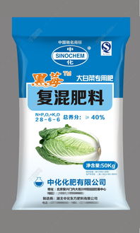 康乃馨施什么肥料好养活,揭秘最佳肥料选择与施用技巧
