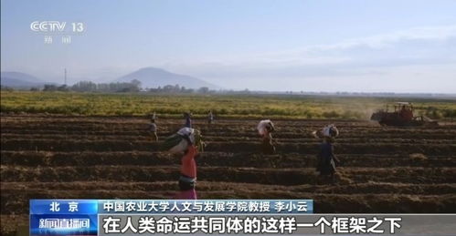 非洲萄该怎么种植视频播放