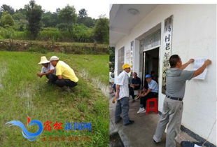 诱发病虫害的条件有哪些,诱发病虫害关键条件的深度解析