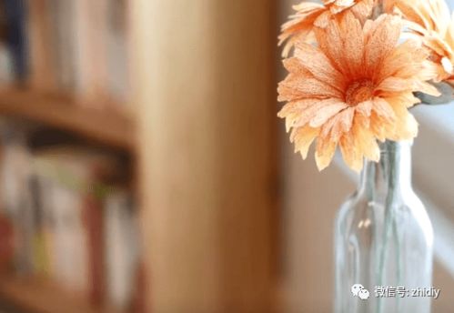 怎么种植花草教程图片视频