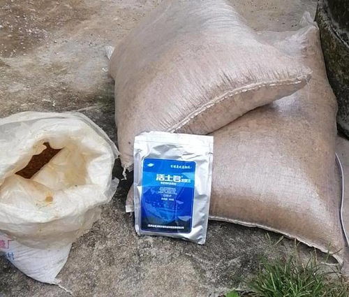 如何沤制液肥,简单步骤打造高效肥料