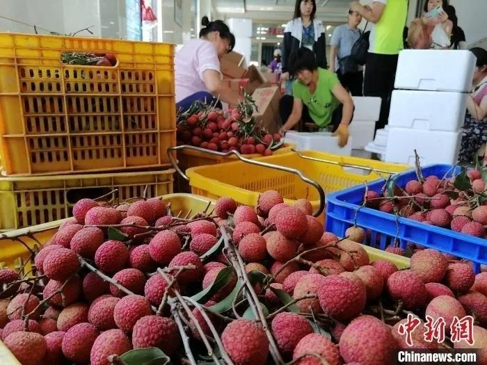 水果出口市场分析论文（我国十大水果出口省份排行榜）