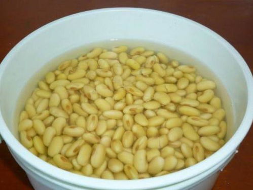 黄豆养花怎么用,天然肥料巧用指南