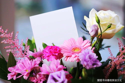 唐乃罄心的花朵寓意什么,寓意爱与希望的象征