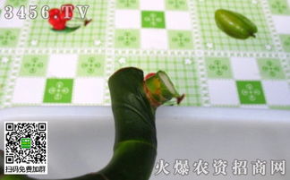 开运竹怎么修剪
