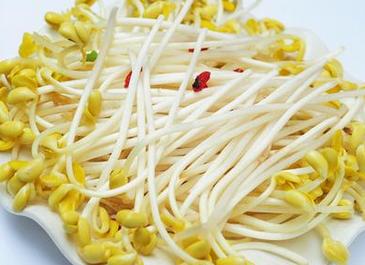 黄豆芽怎么种,从选种到收获的详细步骤