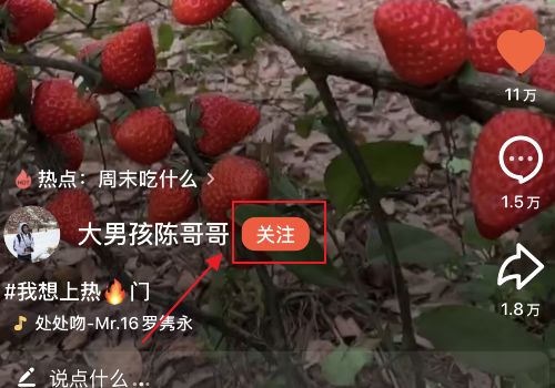 小红心花怎么养,培育美丽心形花朵的秘诀