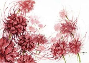 什么花可以过冬不冻死,揭秘哪些花卉能安然度过严寒