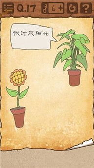 什么植物讨厌太阳,揭秘太阳厌恶植物的生存智慧