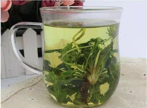 蒲公英茶与什么泡水,养生功效更佳