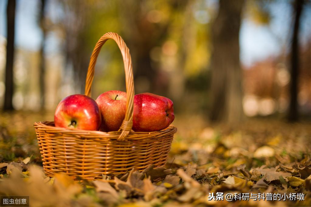 什么水果有利于降糖（6种水果可降低糖尿病发病风险）