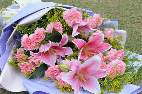 什么花的花语是感情,探寻爱情之花的花语奥秘