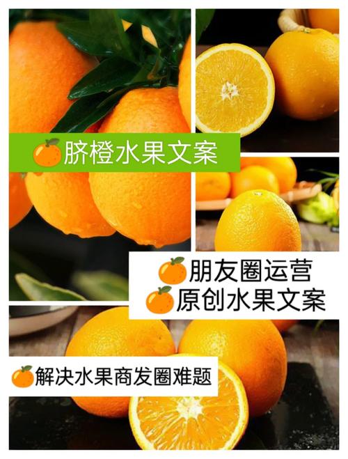 吃蒸脐橙的文案短句怎么写,卖脐橙的朋友圈文案