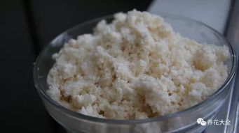豆渣不发酵怎么浇花,简单实用的环保园艺技巧
