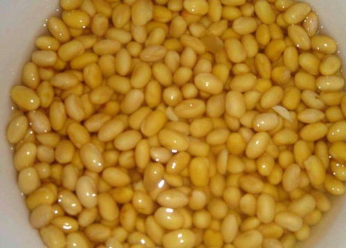 黄豆养花怎么用,天然肥料巧用指南