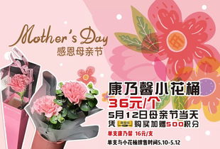 给妈妈买的花束康乃馨怎么养,让母亲节之花绽放更久