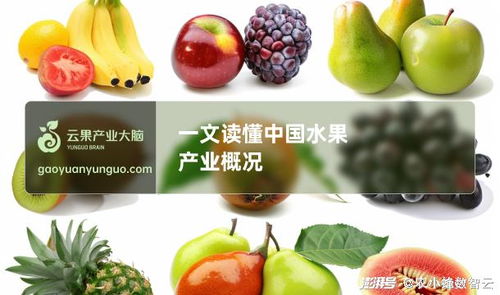 水果怎么读,探索各类水果的奥秘